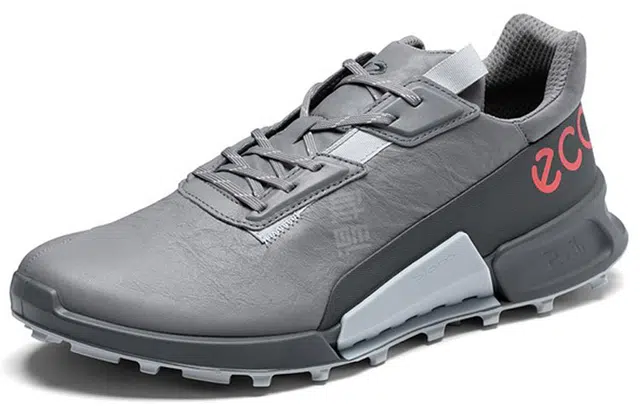 ecco 2.1