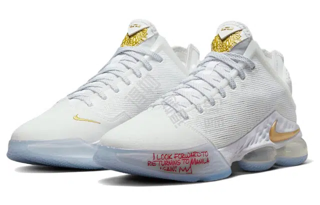 Nike Lebron 19