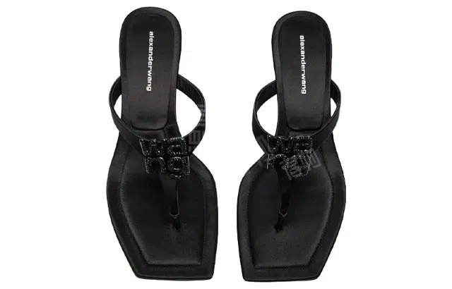 alexander wang