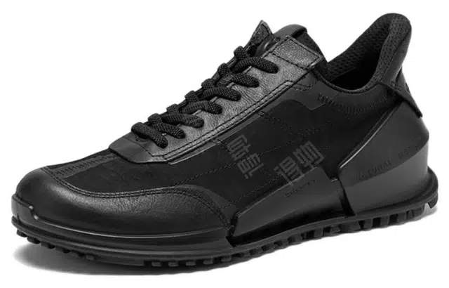 ecco 2.0