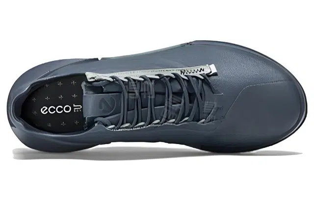 ecco 2.0