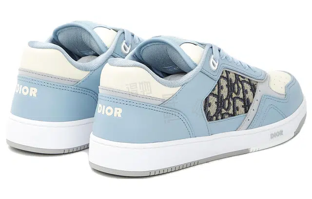 DIOR B27