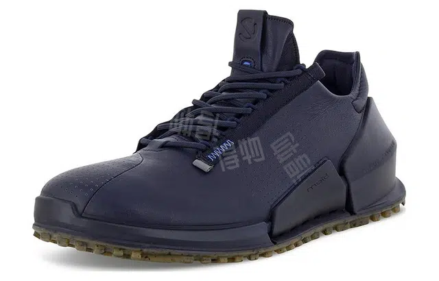 ecco 2.0