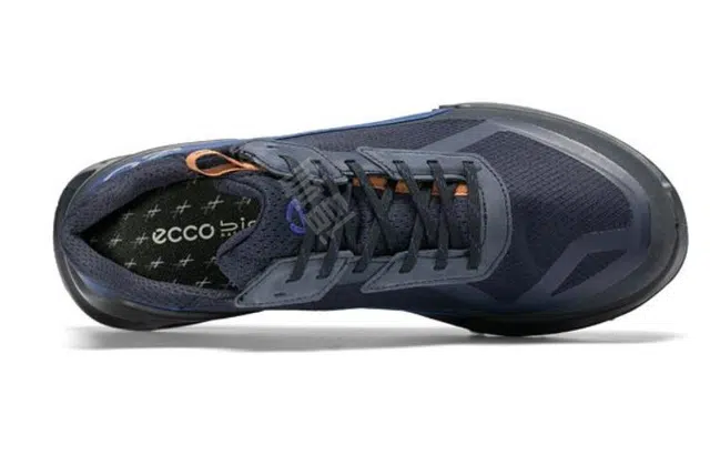 ecco 2.1