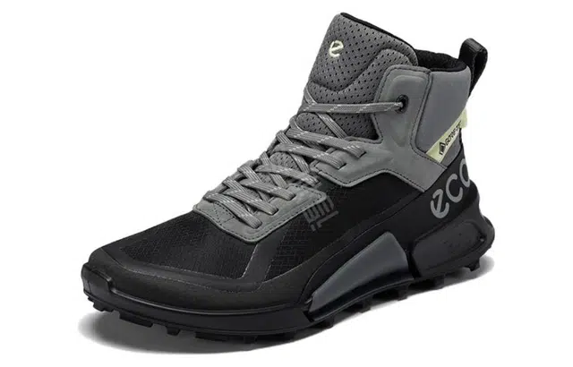 ecco 2.1