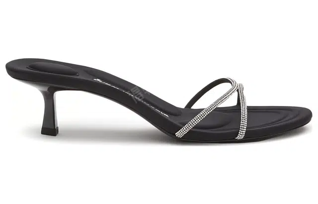 alexander wang