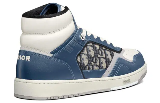 DIOR B27