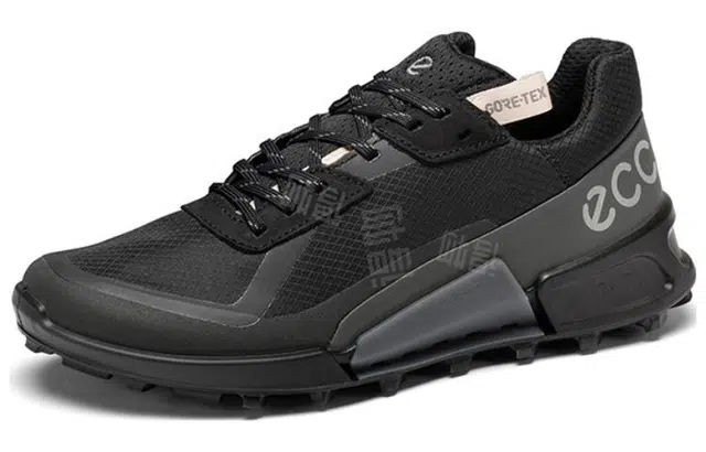ecco 2.1