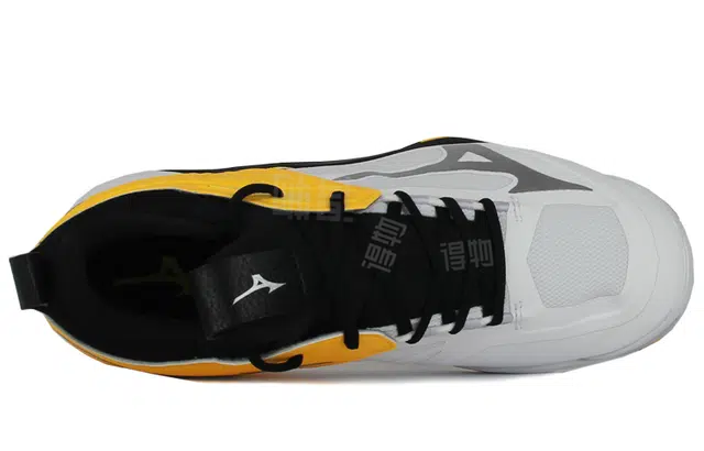 Mizuno Wave Momentum 2