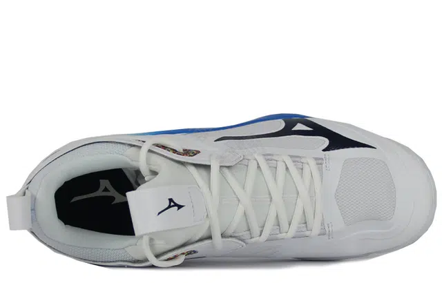 Mizuno Wave Momentum 2