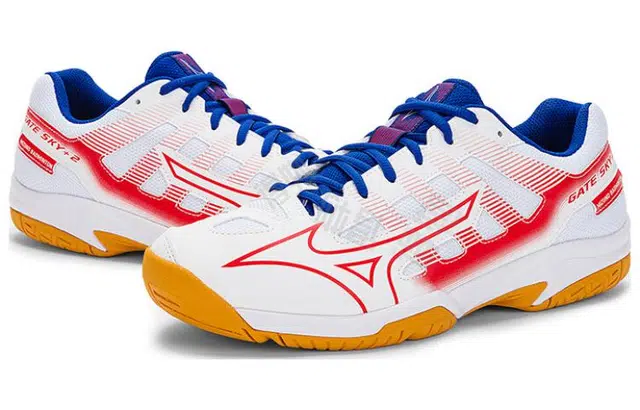 Mizuno Gate Sky Plus2