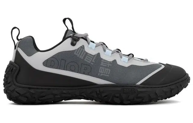 DIOR Diorizon
