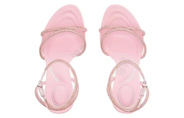 alexander wang Dahlia