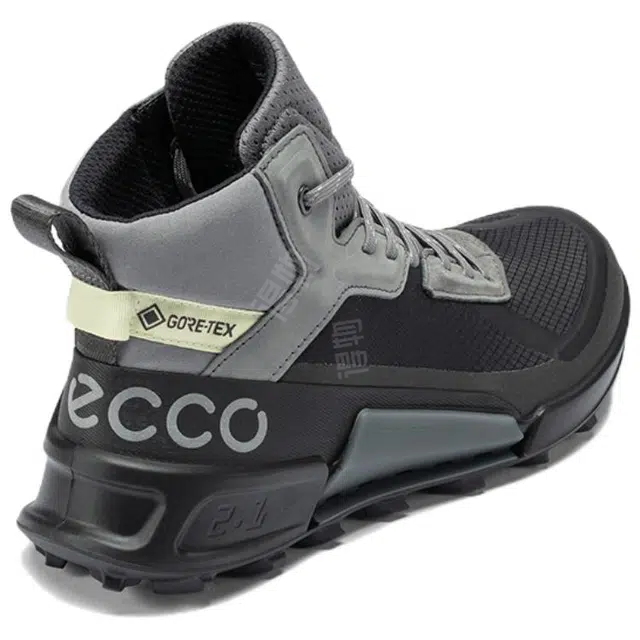 ecco 2.1