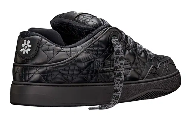 ERL x DIOR B9S