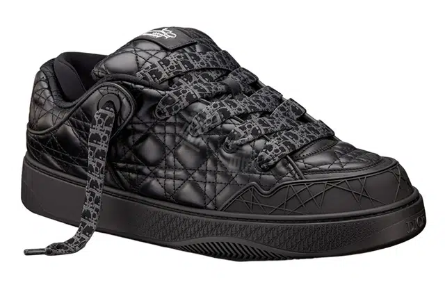 ERL x DIOR B9S
