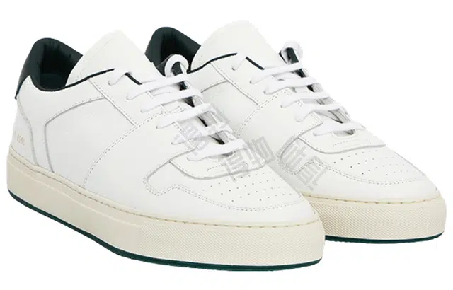 COMMON PROJECTS
