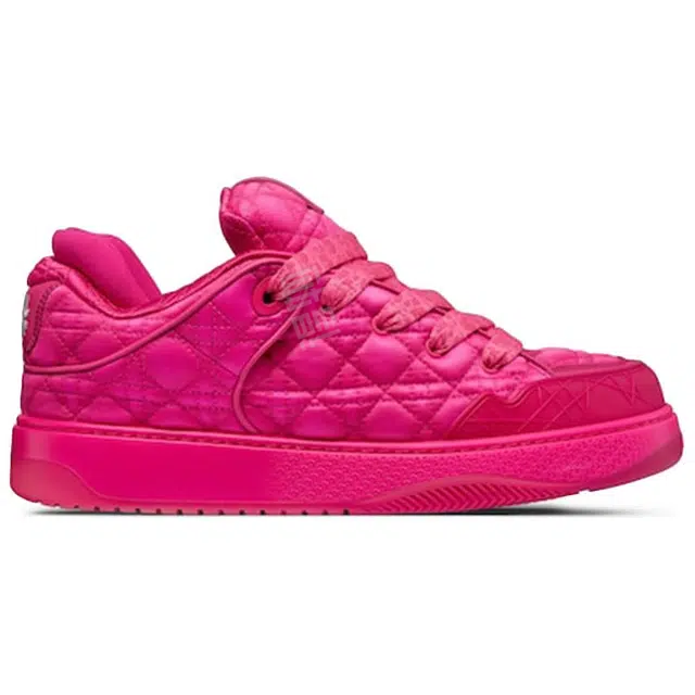 ERL x DIOR B9S