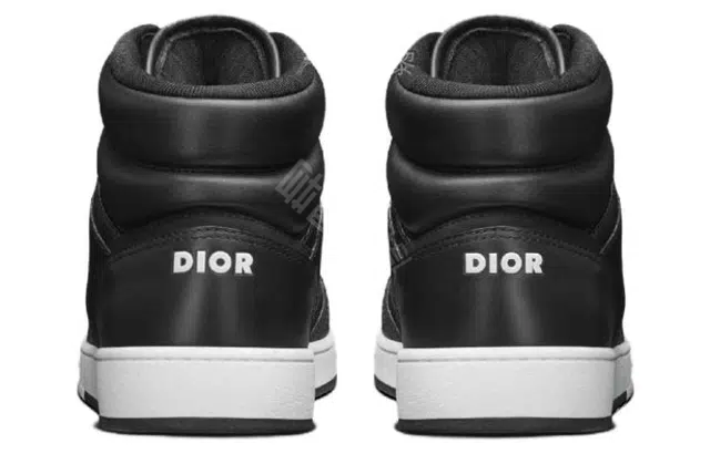 DIOR B27