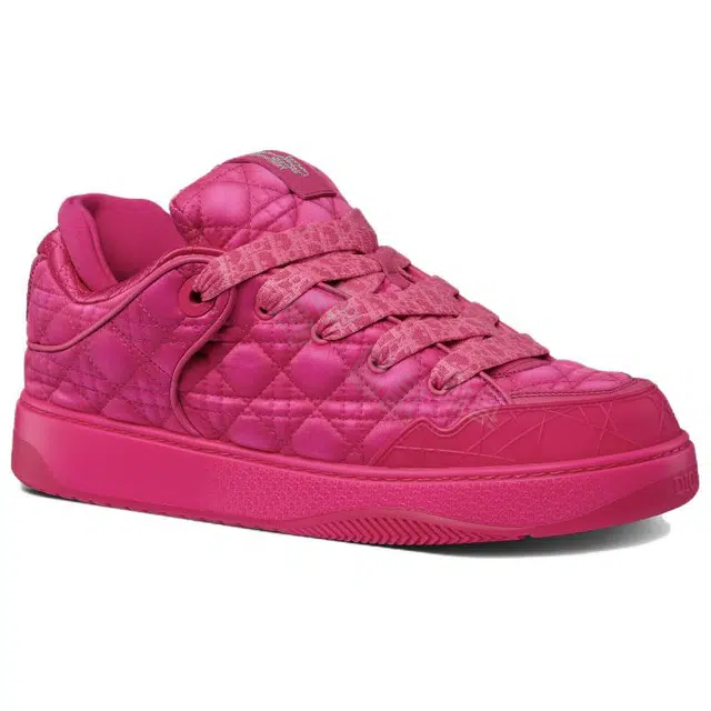 ERL x DIOR B9S