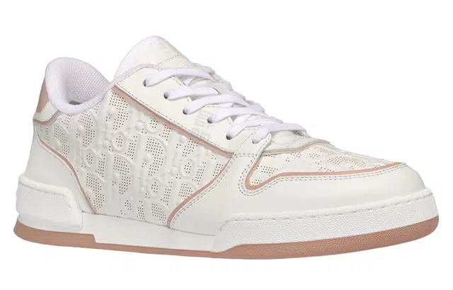 DIOR One Oblique