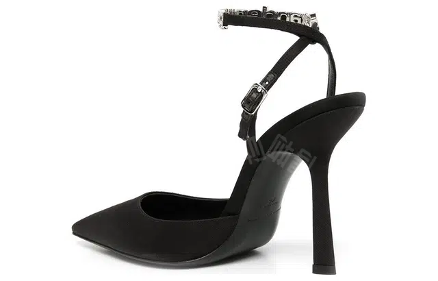 alexander wang Delphine