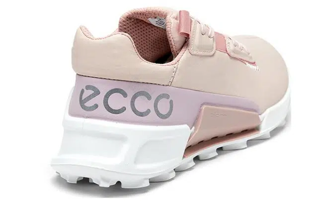 ecco 2.1