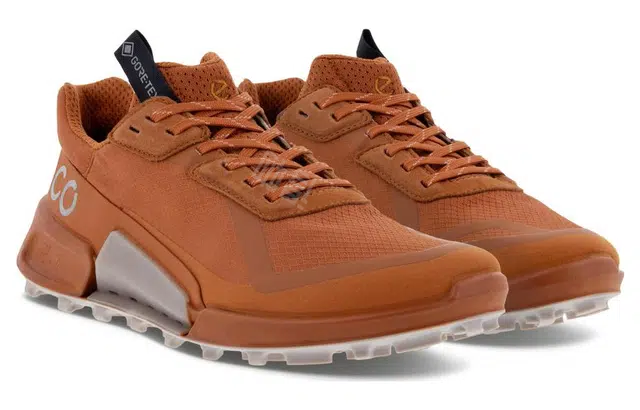 ecco 2.1