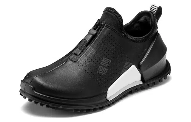 ecco 2.0