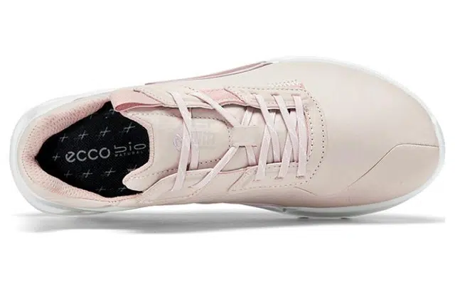 ecco 2.1