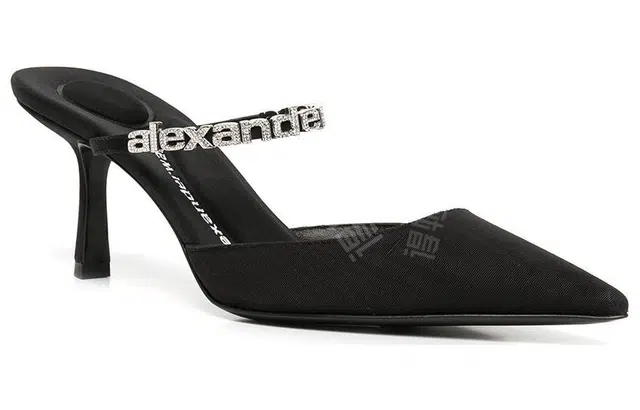alexander wang
