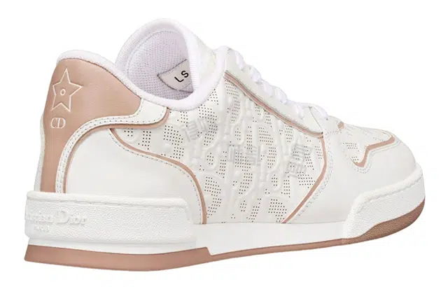 DIOR One Oblique
