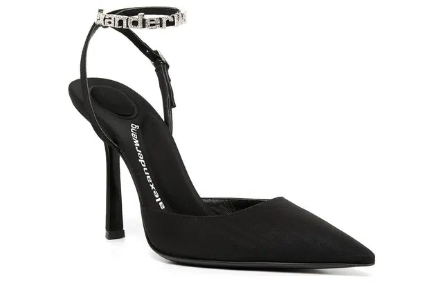 alexander wang Delphine