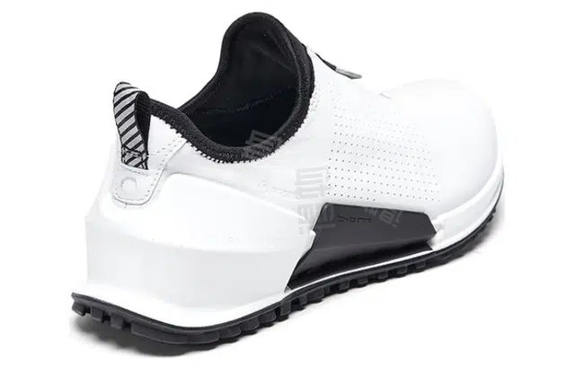 ecco 2.0