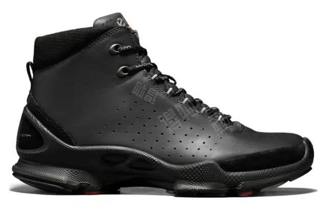 ecco C