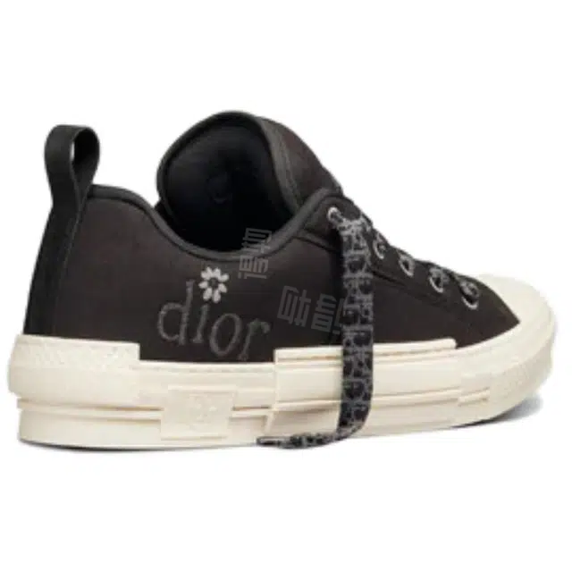 ERL x DIOR B23