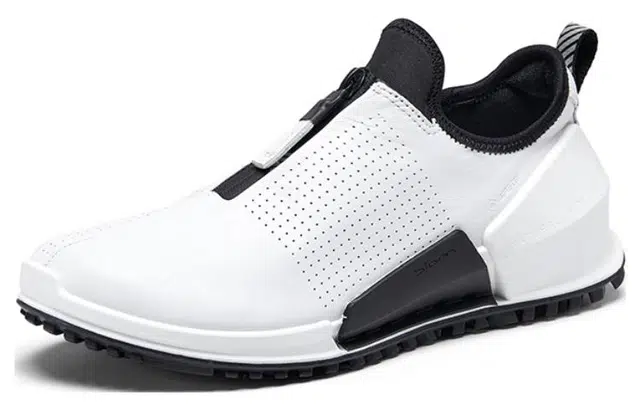 ecco 2.0