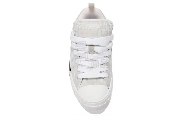 DIOR B23 Oblique