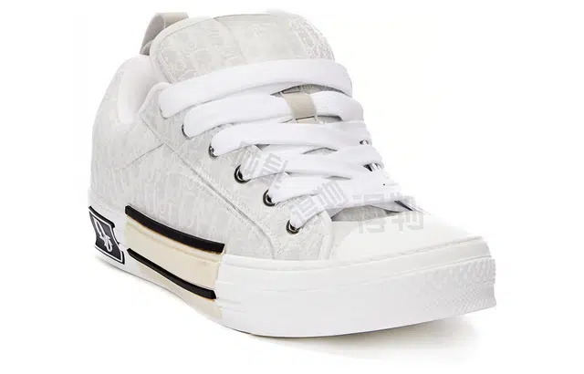 DIOR B23 Oblique
