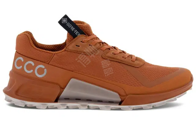 ecco 2.1