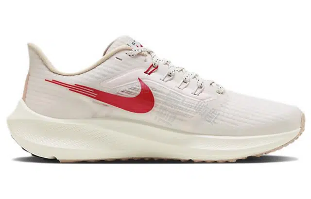 Nike Air Zoom Pegasus 39