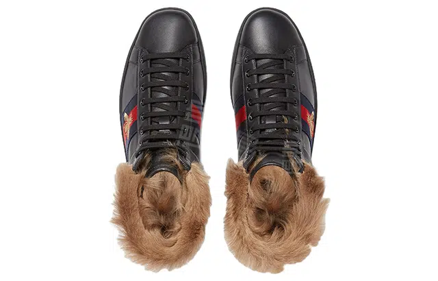 GUCCI ACE