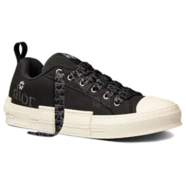 ERL x DIOR B23