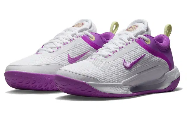 Nike Zoom Court NXT HC