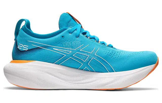 Asics GEL-Nimbus 25