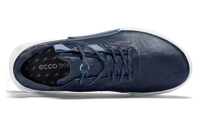 ecco 2.1