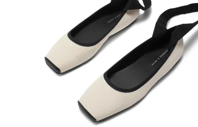 Charles & Keith Ballet Flats