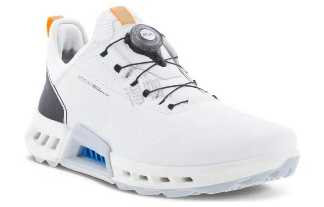 ecco Biom C4