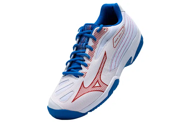 Mizuno