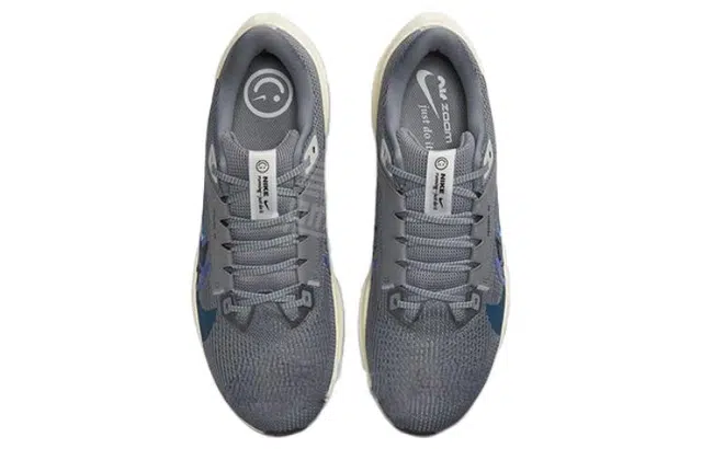 Nike Air Zoom Pegasus 40 PRM 40